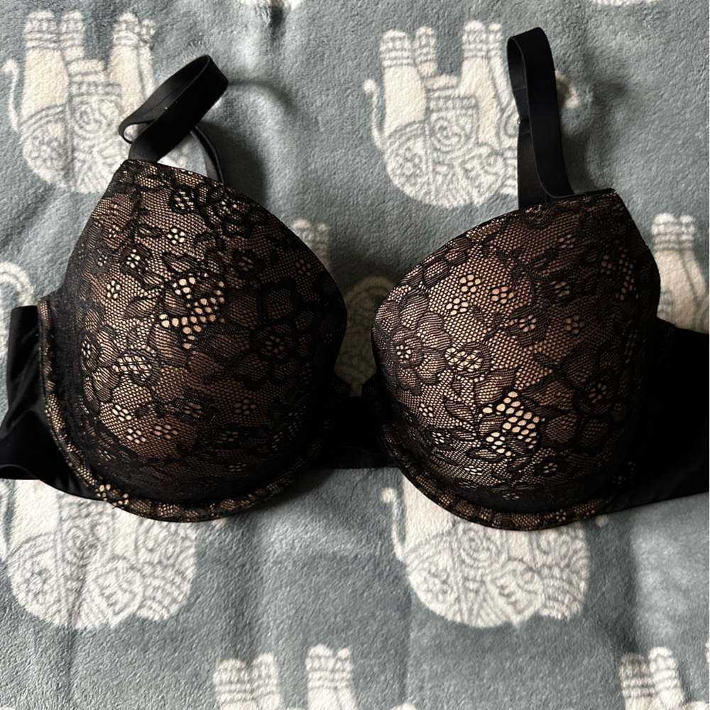 Ambrielle Bra